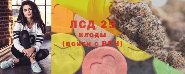 мдпв Заводоуковск